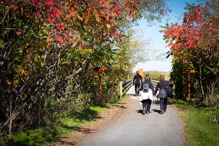 Autumn Picnic