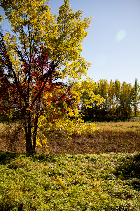 Autumn Picnic