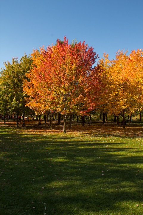 Autumn Picnic