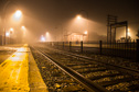 Foggy Night